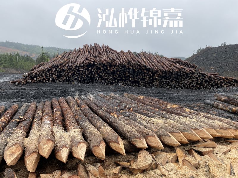 6米長松木樁有哪些作用，多少錢一根？
