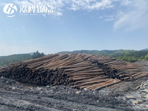 河道打樁為什么選擇松木樁來處理軟地基？-松木樁施工使用范圍