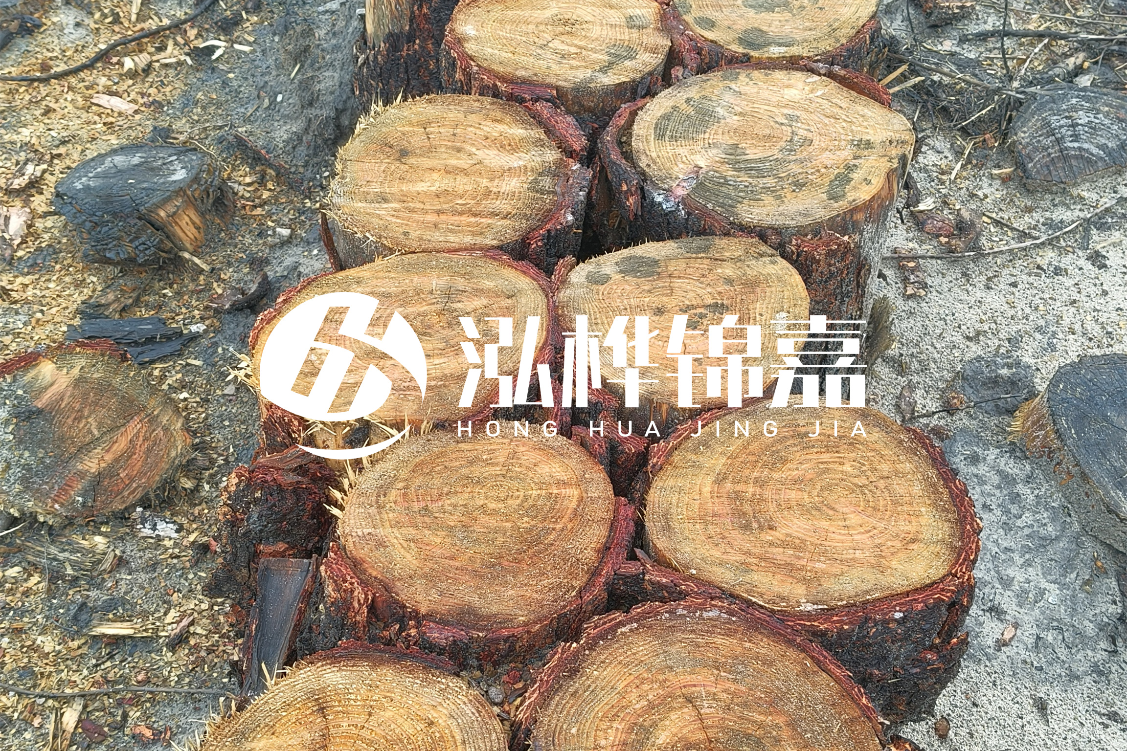浙江臺州有清淤的公司嗎？浙江臺州有清淤施工隊嗎？
