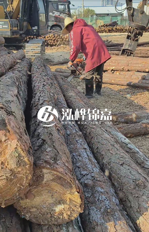 長沙打樁木批發(fā)廠家在哪里？聯(lián)系方式是什么？