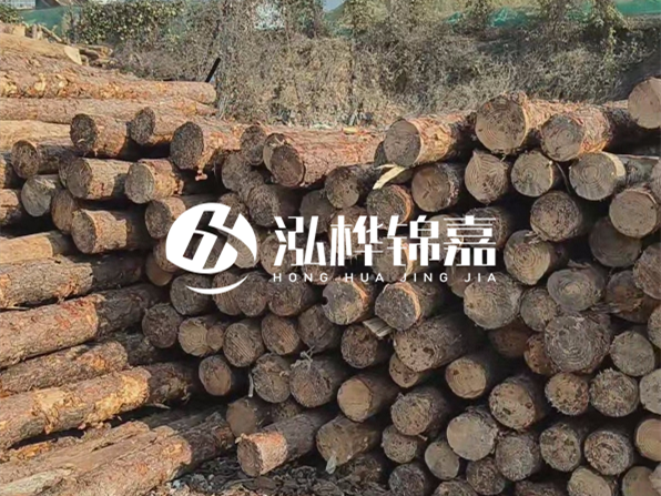 落葉松木材的主要產(chǎn)地在哪里？為什么比其他松木更耐腐蝕？