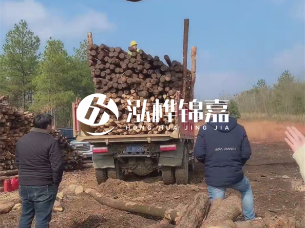 防腐木樁價格比普通木樁貴多少？防腐木樁有哪些處理方式？