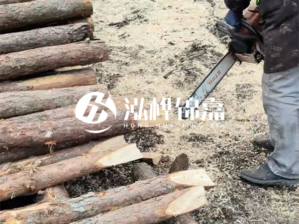 杉木樁批發(fā)廠家哪家好？產(chǎn)地直供渠道推薦！