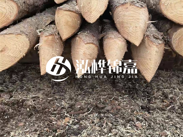 打樁木樁與鋼樁相比有哪些優(yōu)缺點？如何進(jìn)行后期維護(hù)？