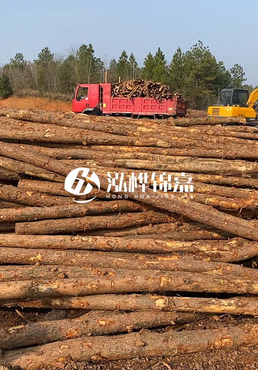 8米小頭11-13CM的松木樁價格是多少？打樁施工怎么算？