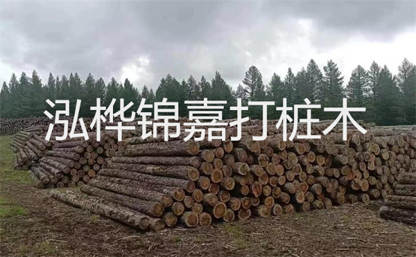 選擇紅磚護(hù)坡，打造獨(dú)特的美麗景觀