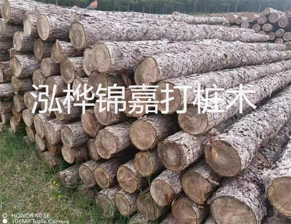 高效修補(bǔ)，保駕護(hù)航！水泥路面高強(qiáng)度修補(bǔ)料為您解決煩惱！