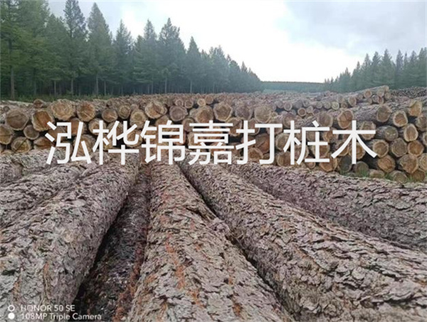 高效施工，圓松木樁助力建筑工程進展順利
