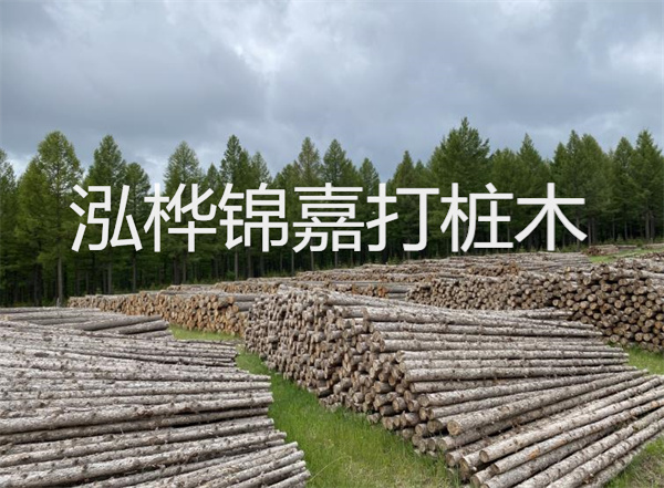 新一代建筑地基基礎設計規(guī)范助力工程質量提升