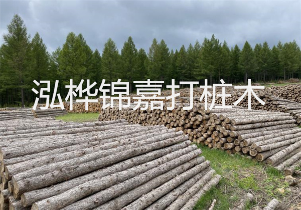 硬地基與軟地基：建筑工程中的關鍵挑戰(zhàn)
