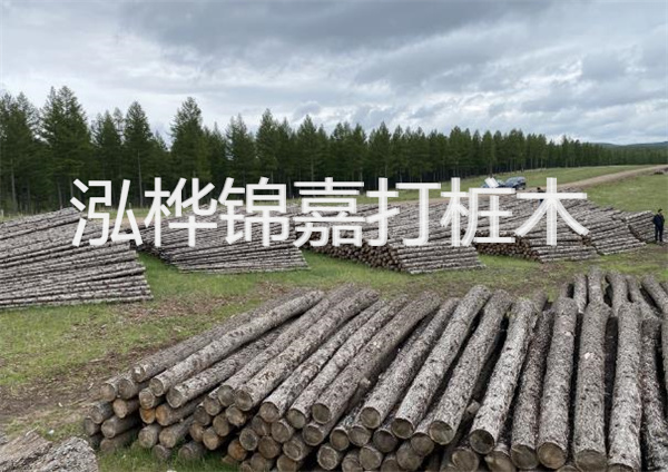 鋼結(jié)構(gòu)施工方案大全免費(fèi)提供，助力工程建設(shè)