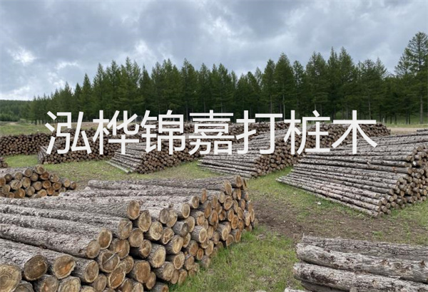 預(yù)制松木樁施工工藝：優(yōu)質(zhì)材料，高效快速，堅(jiān)固耐用