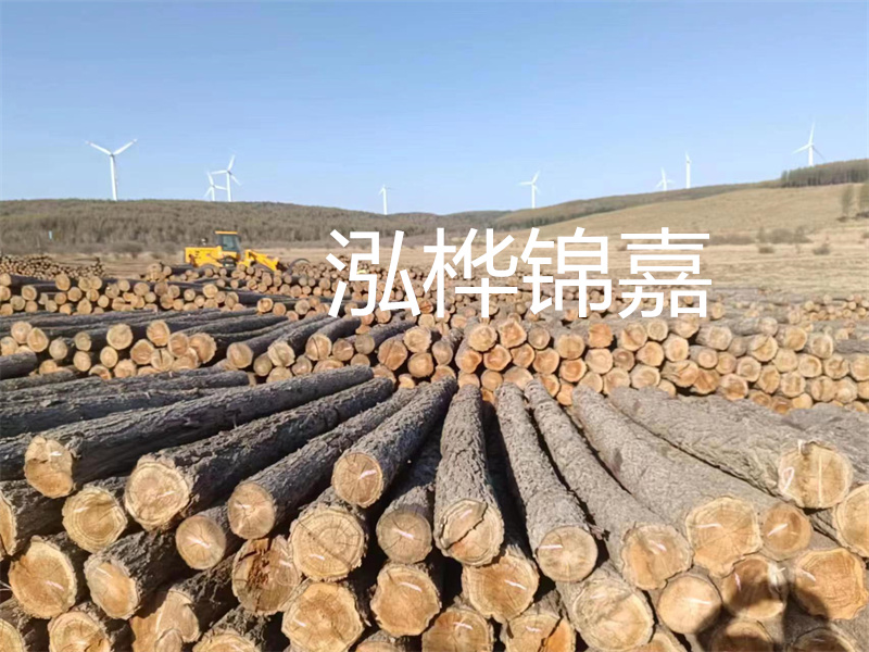 溫州松木樁施工廠家——為您打造堅(jiān)固穩(wěn)定的建筑基礎(chǔ)！