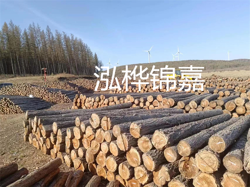 用路基松木樁施工方案提升工程質(zhì)量描述：了解路基松木樁施工方案的重要性，提高工程質(zhì)量關(guān)鍵詞：路基松木樁，施工方案，工程質(zhì)量